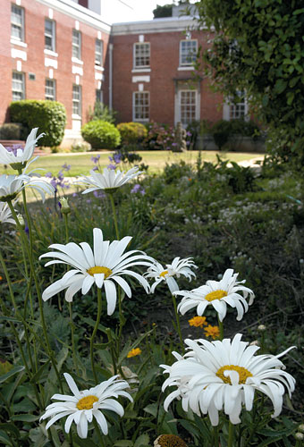 View of the garden outside the Jewish Home